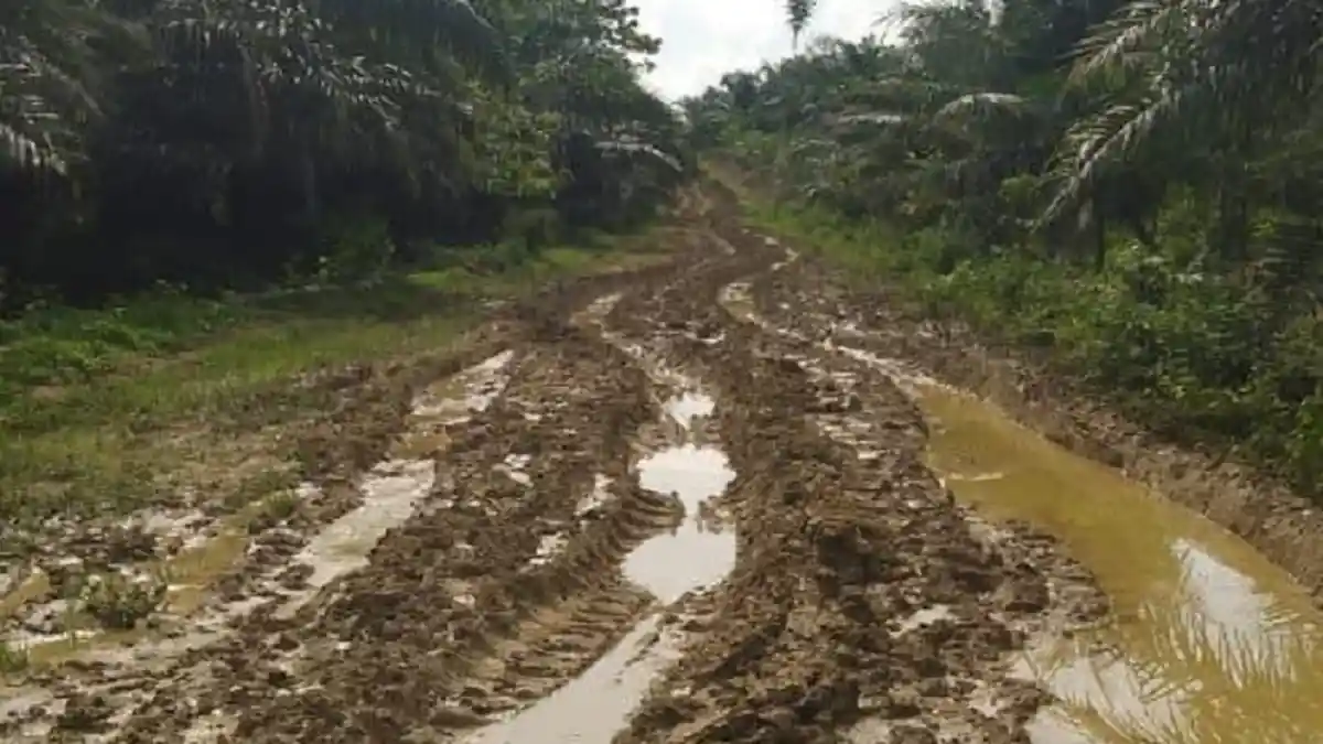 Musim Penghujan, Warga Pedalaman Aceh Timur Ini Terisolir Akibat Jalan Rusak Parah