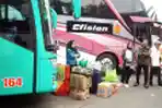 Suasana-Mudik-di-Terminal-Kalideres_20250326_225112.jpg