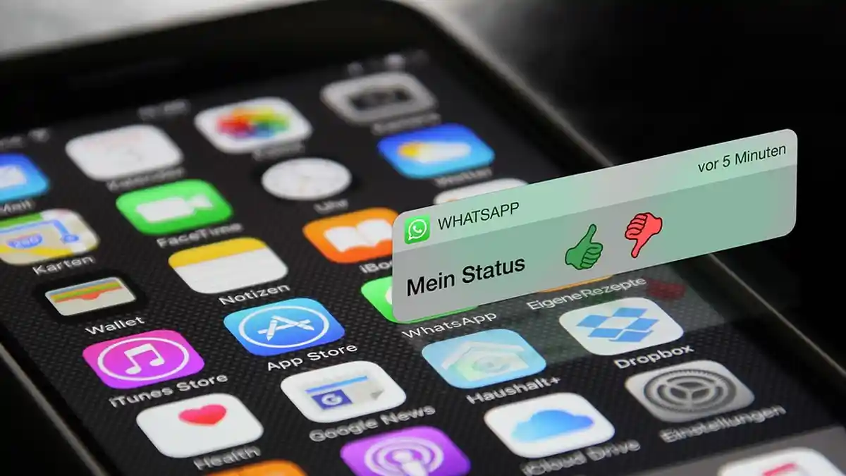 MUDAH Tanpa Aplikasi Tambahan, Berikut 6 Cara Download Status WhatsApp