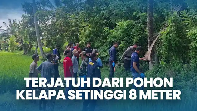 Tribun