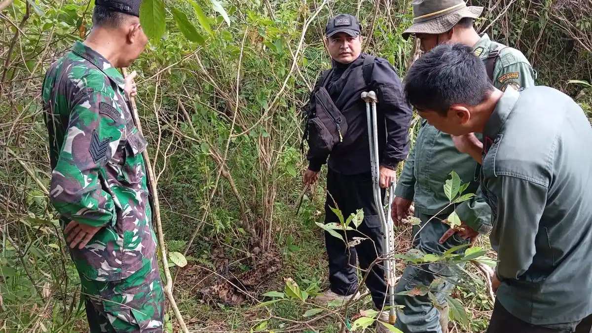 10 Hari Mati, Macan Tutul Jawa Ditemukan Tinggal Tulang di Cisompet Garut