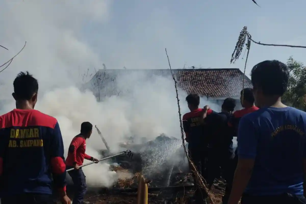 Tiga Kandang Sapi di Sampang Ludes Terbakar, Dua Ekor Sapi Mati Terpanggang