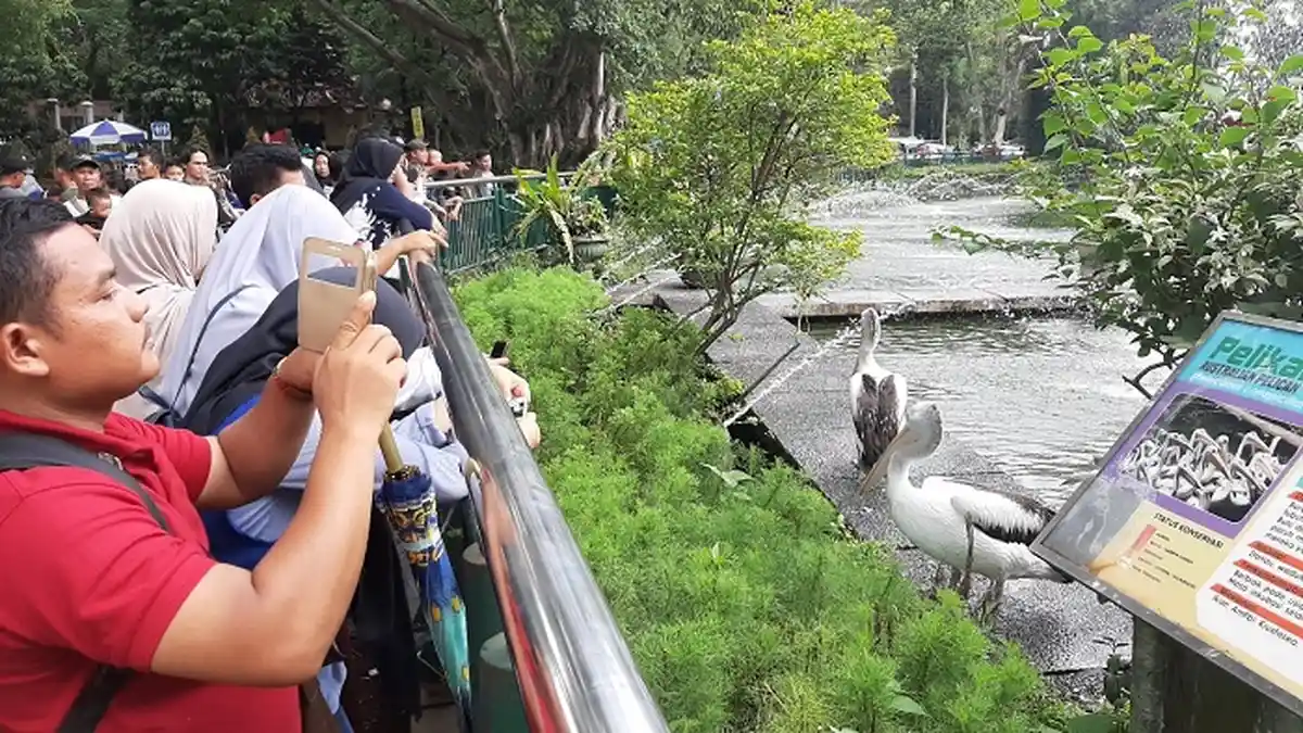 150 Ribu Orang Diprediksi Padati Kebun Binatang Ragunan Pada 1 Januari 2020