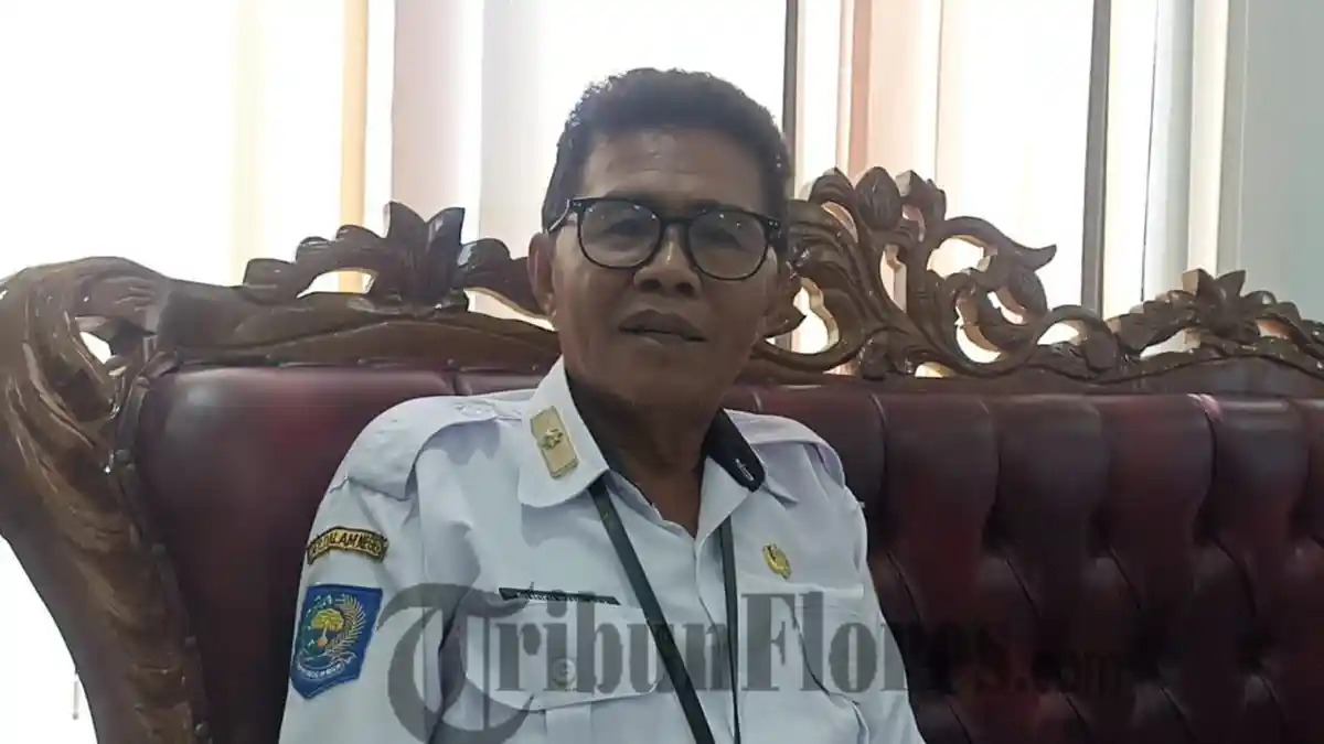 Kadis Sosial Sikka Beberkan Persyaratan Mendapatkan Kepesertaan JKN KIS 