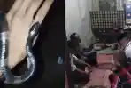 Mainan-Ular-Berbisa-Remaja-di-Bogor-Tewas-usai-Digigit-dan-Temannya-Kritis-Video-Kejadian-Viral.jpg