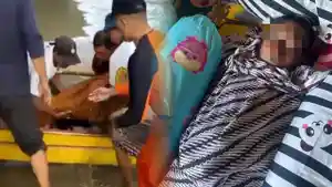 Bocah-berusia-sembilan-tahun-diketahui-tewas-tenggelam.jpg