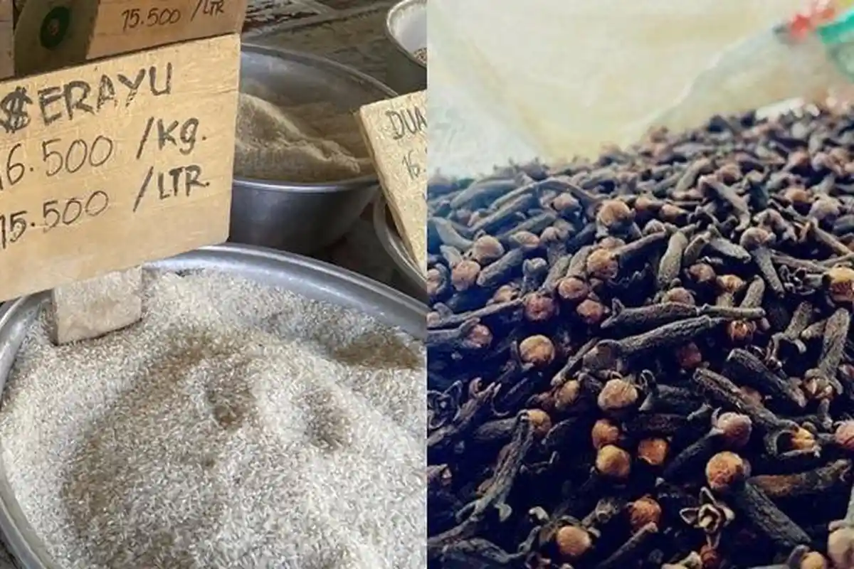 Berita Populer Sulawesi Utara: Harga Nilam, Beras, Kopra, Cengkih hingga Harga Daging Babi di Manado