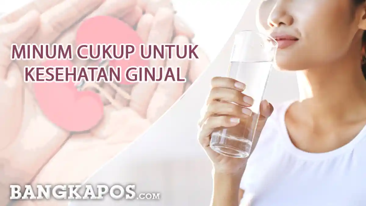 Jaga Kesehatan Ginjal Dengan 6 Cara Ini
