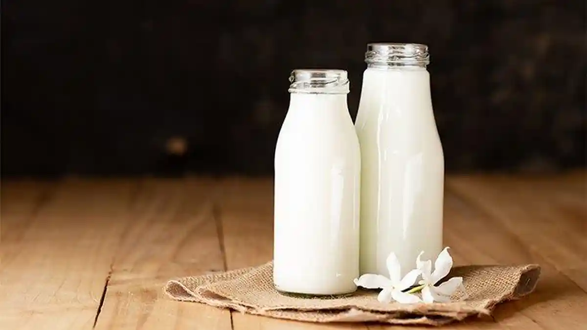 Berbeda dari Susu Biasa, Ini Sejumlah Khasiat Susu Beruang, Dapat Bersihkan Darah