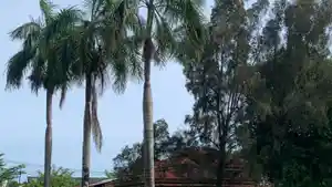Angin-Kencang-89ujkkl.jpg