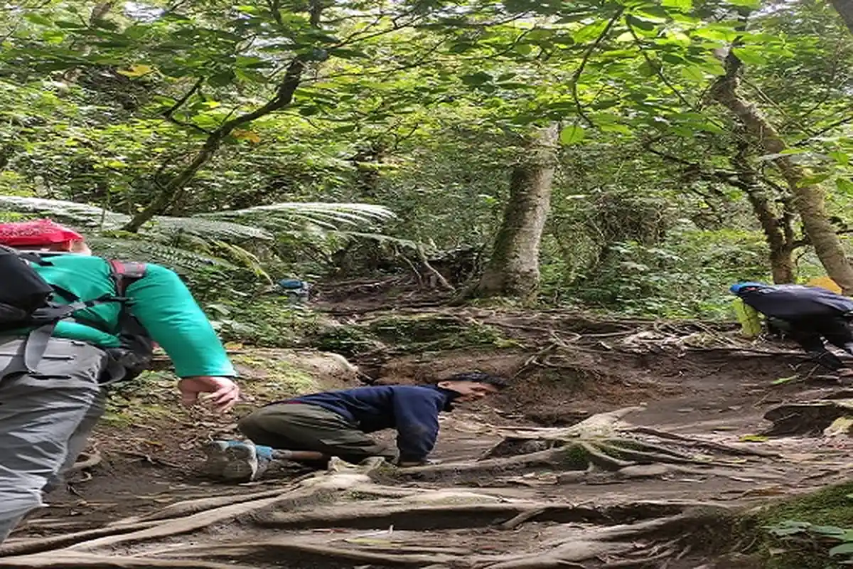 Kisah Disabilitas Daksa Polio, Elfin Nugraha Sambil Merangkak Gapai Puncak Gunung Merapi