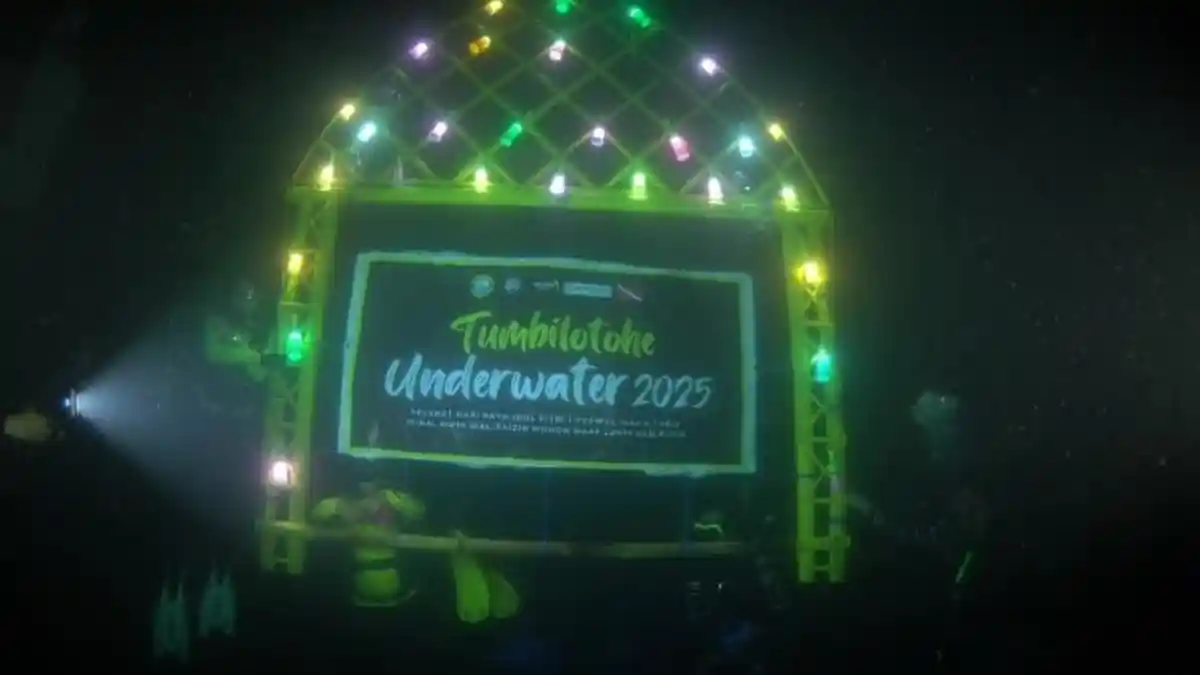 Unik! Alikusu Tumbilotohe Gorontalo Menyala di Dasar Laut Kawasan Hiu Paus Botubarani