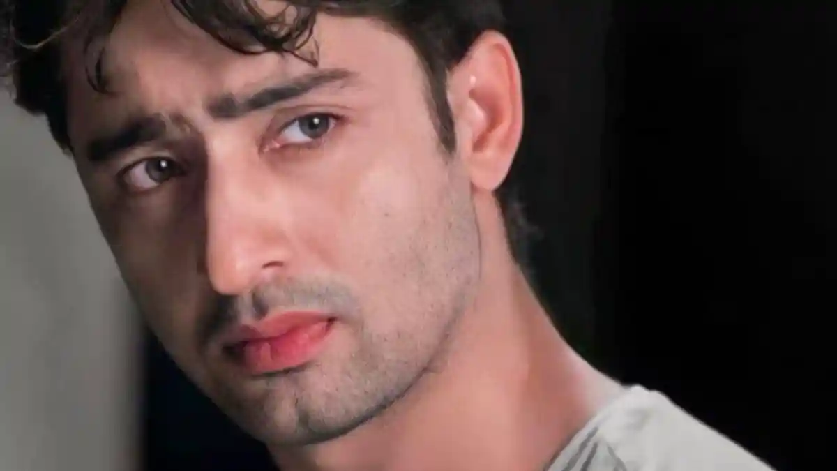 Ingat Aktor India Shaheer Sheikh Mantan Pacar Ayu Ting Ting? Kini Sudah Menikah & Memiliki Anak