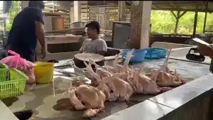 Sejumlah-ayam-potong-yang-telah-dibersihkan-tersusun-di-lapak-pedagang.jpg