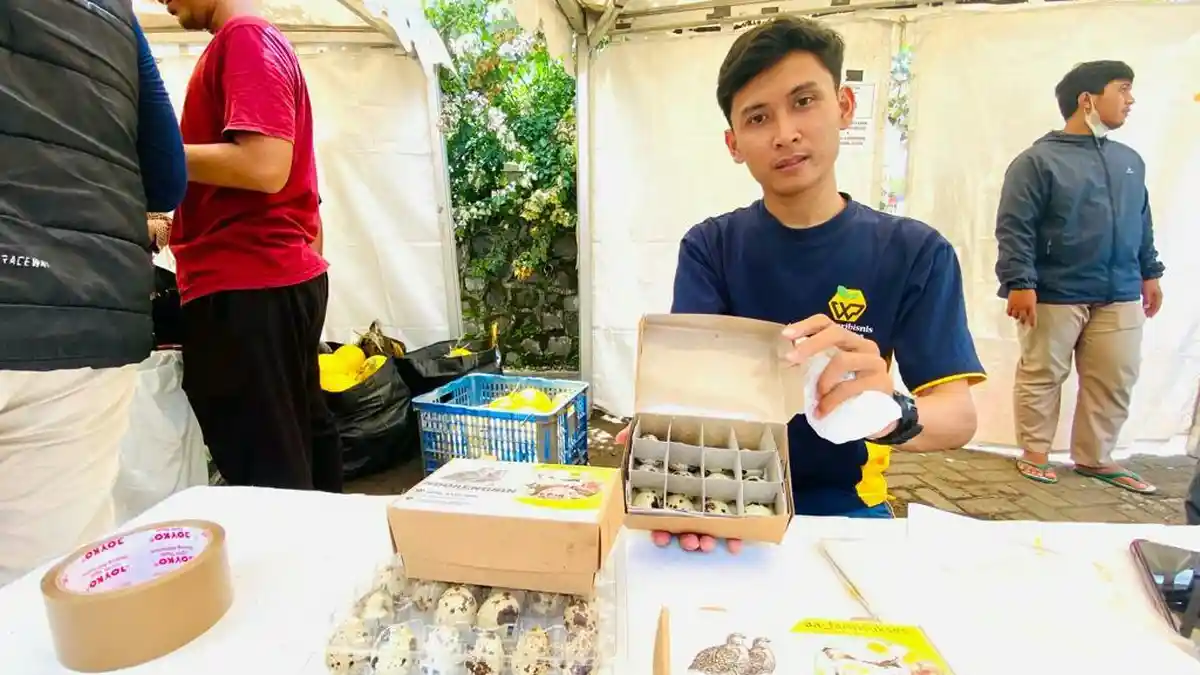 Ingin Sensasi Berbeda? Cobalah Ndorengsin Telur Puyuh Rasa Asin Produk Pemuda Asli Kab.Tegal