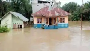Banjir-di-Kabupaten-Pelalawan_1.jpg