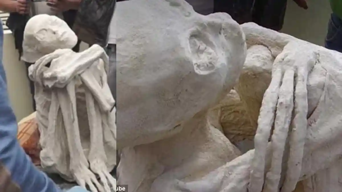 Misteri Maria, Si Mumi Berjari Panjang asal Peru yang Diklaim Sebagai Alien