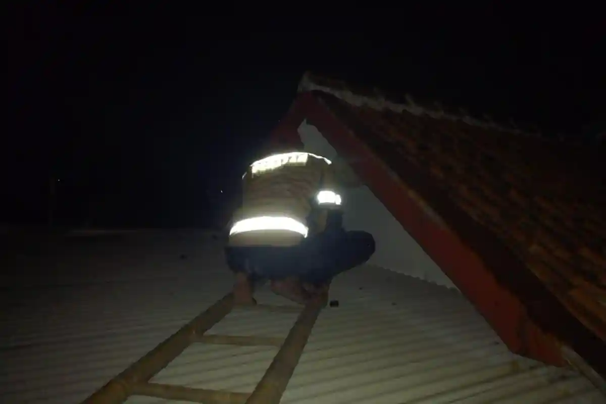 Damkar Sumedang Evakuasi Sarang Tawon Vespa di Rumah Warga