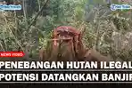 perambahan-hutan-dilakukan-oleh-seorang-pengusaha.jpg