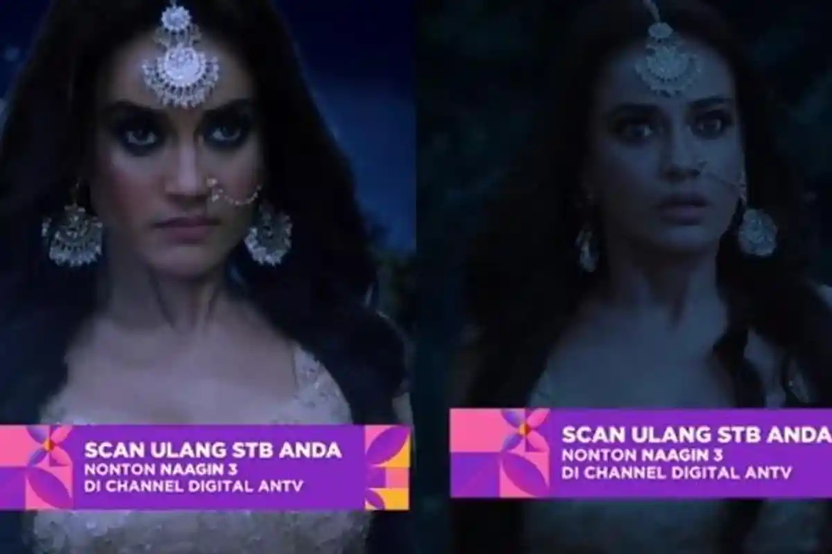 Sinopsis Serial India Naagin 3 19 Desember 2022 : Bebaskan Kutukan, Nakmani Sravani Diserang Bela