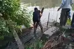 BUAYA-TANGKAP.jpg