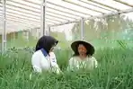 Tak Cukup Sekadar Pembiayaan, Penguat Usaha Ultra Mikro Adalah Pemberdayaan Total