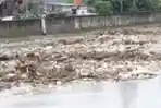 Kumpulan Sampah Sungai Ciliwung Menumpuk