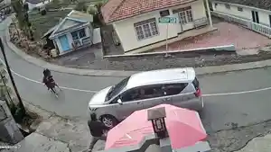 Seekor-kuda-menabrak-mobil-di-jalan-menuju-Kawasan-Gunung-Bromo-Sabtu-1362026.jpg