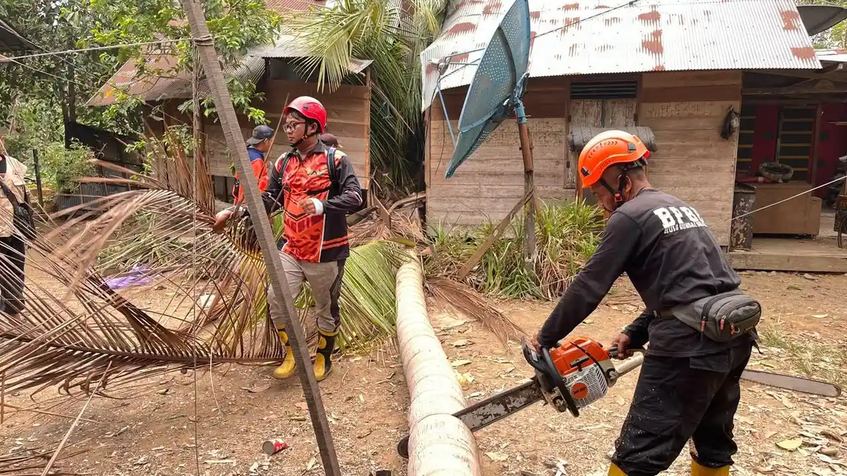 Angin Kencang Terjang Sejumlah Wilayah di HSS, 11 Pohon Tumbang dan 7 ...