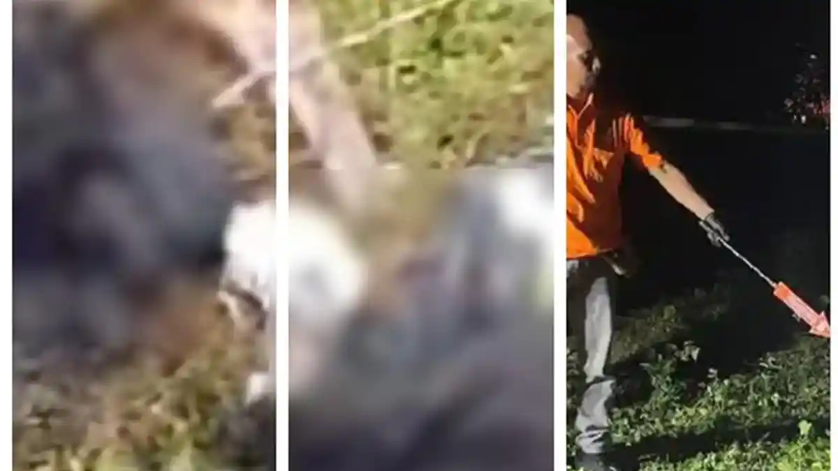 Misteri Mayat Terbakar di Tumpukan Sampah, Penemuan Botol Isi BBM & Tali Nilon, 3 Saksi Diperiksa