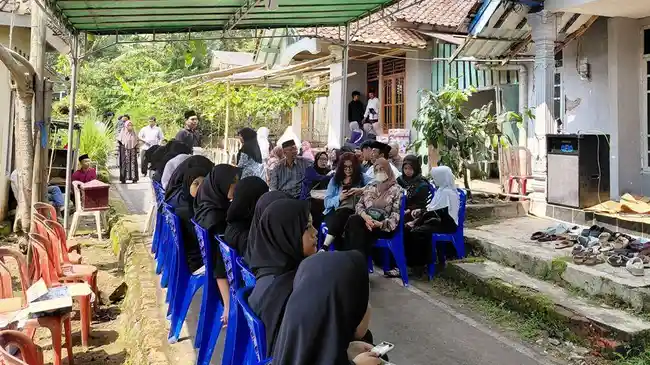 Tribun