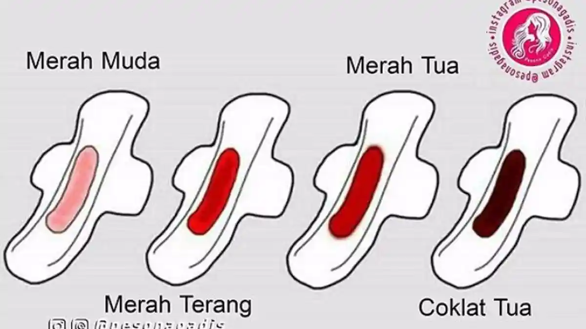 KENALI! 7 Jenis Bau Darah Menstruasi dan Artinya