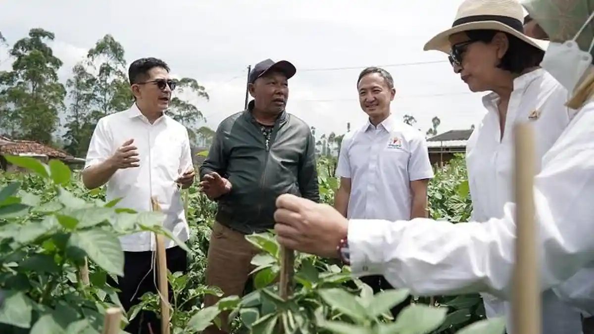 Ketua ASEAN-BAC Soroti Pentingnya Harmonisasi Standar Pengolahan Pangan di ASEAN