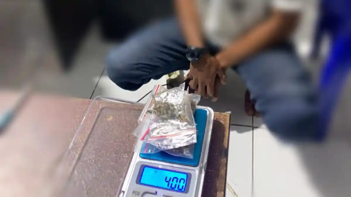 Eks Napi Pengedar Narkoba Kembali Diringkus Satnarkoba Polres Ternate