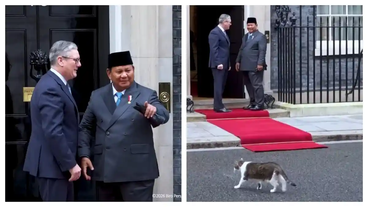 7 Momen Viral Kucing Larry si Penjaga Kantor PM Inggris, Terbaru Ikut 'Sambut' Kedatangan Prabowo