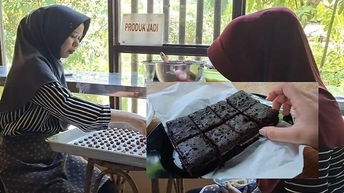 UMKM Kalsel- Lezatnya Brownies dari Talipuk, Bahan Utama Langsung dari ...