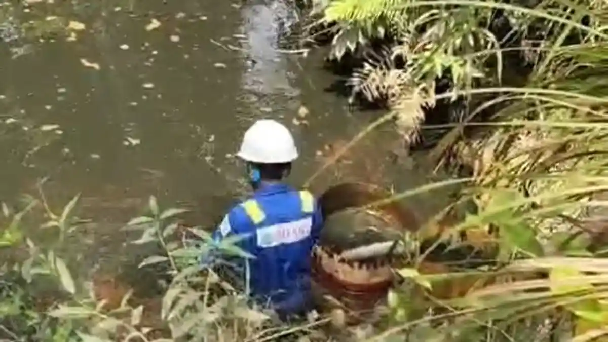 Sungai dan Sumur di Desa Belani Diduga Tercemar Tumpahan Minyak, Warga Muratara Resah