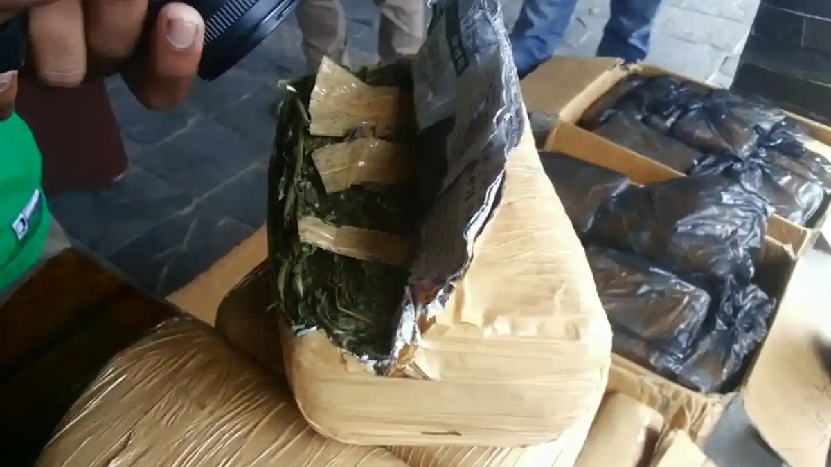 Polres Langkat Gagalkan Peredaran 15 Kilogram Ganja dan 800 Gram Sabu