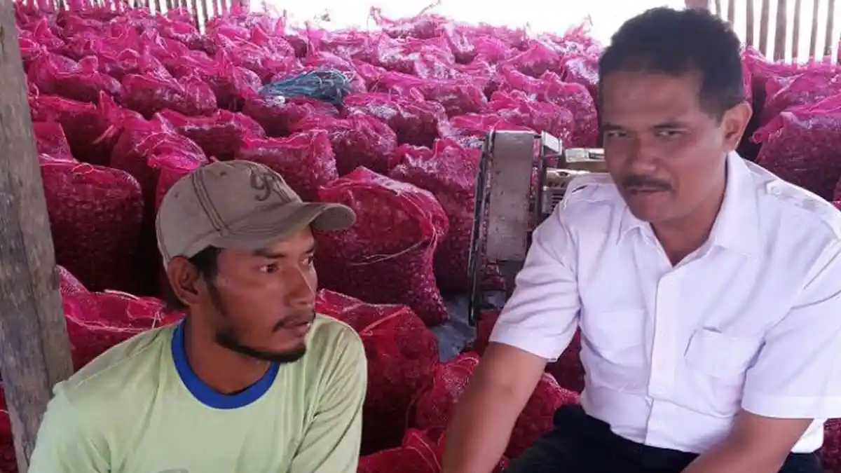 Kementan Usut Kasus Impor Bawang Bombai