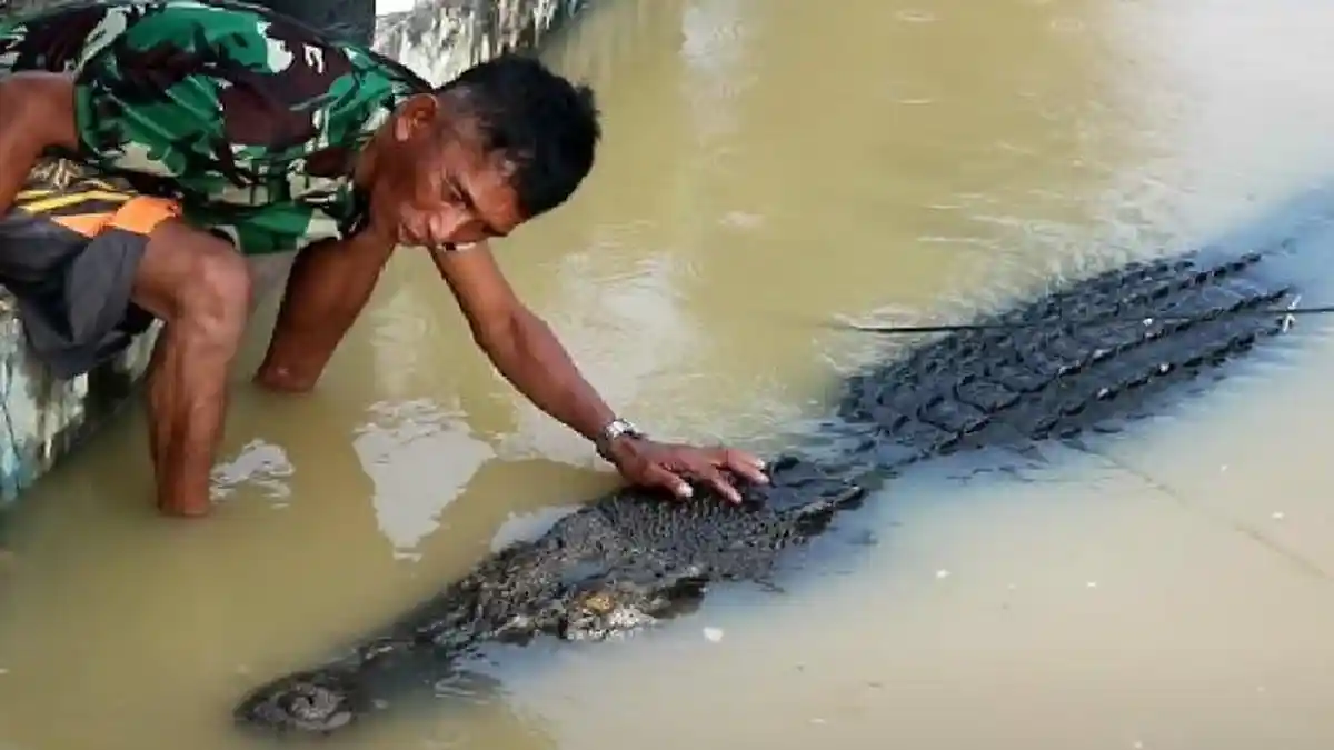 Warga Sepakat Melarang Membuat Konten YouTube Buaya Riska dan Pak Ambo Bontang