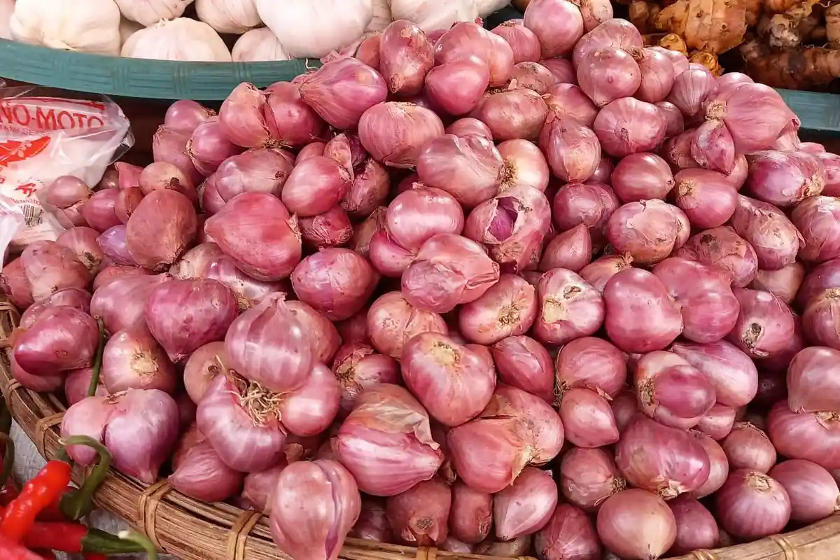 Update Harga Rempah Gorontalo di Pasar Sentral dan Andalas Pasca Lebaran Idul Fitri 1444 H