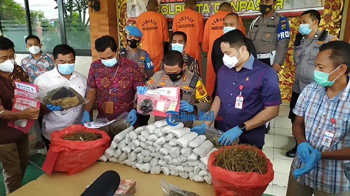 Pelaku Bandar Narkoba Jenis Ganja, Bawa Dari Aceh Hingga Denpasar Melalui Jalur Darat