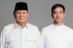 Prabowo-Subianto-Gibran-Rakabuming-Raka-Beredar-susunan-kabinet.jpg