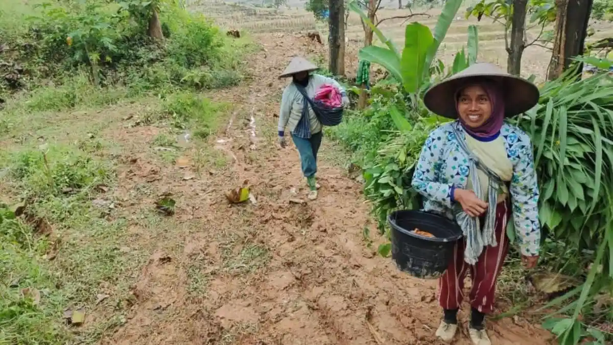 Kisah Kekeramatan Gunung Liwung, Kejanggalan di Balik Tersesatnya HRV di Hutan Desa Wukirsari Pati