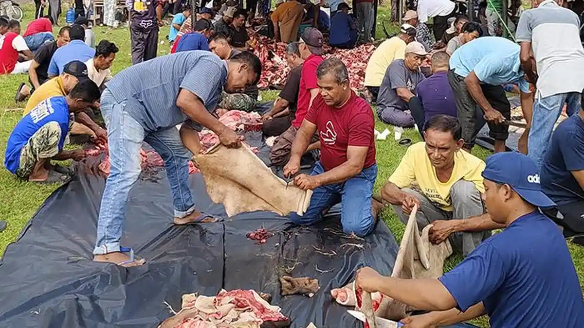 Gampong Meunasah Papeun Sembelih 41 Hewan Kurban