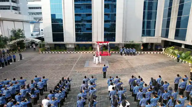 Tribun