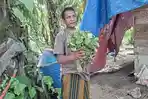 Pundak Baja Junaidi dan Sisa Wangi Nilam Pante Kera