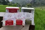 Tingkatkan Ekonomi Masyarakat Pedesaan, UI Kembangkan Teh dan Kopi Kesehatan Tanpa Kafein