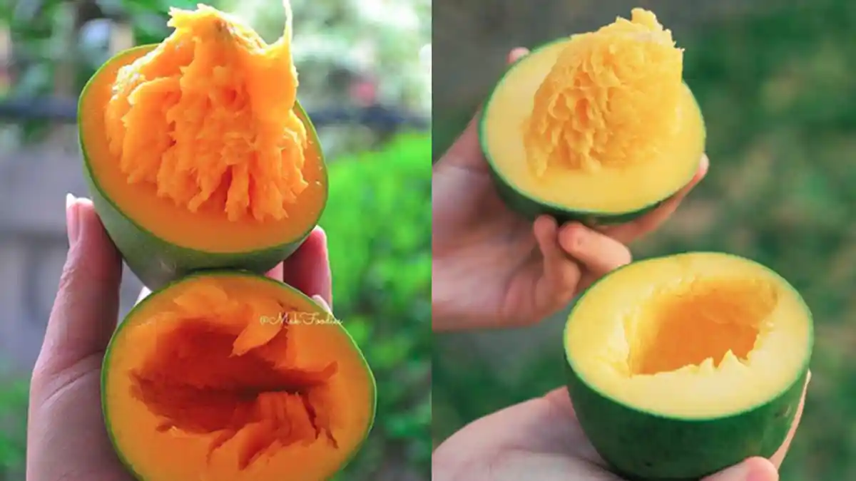 Cara Menurunkan Berat Badan 5 Kg dengan Diet Mangga, Ini Waktu Terbaik Mengonsumsi Kata Ahli Gizi