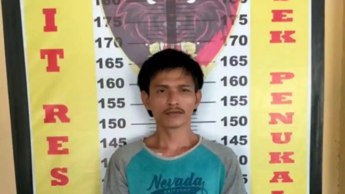 Curi Sapi Tetangganya Dengan Cara Dimasukkan ke Mobil, Pria di PALI Kini Ditangkap Polisi